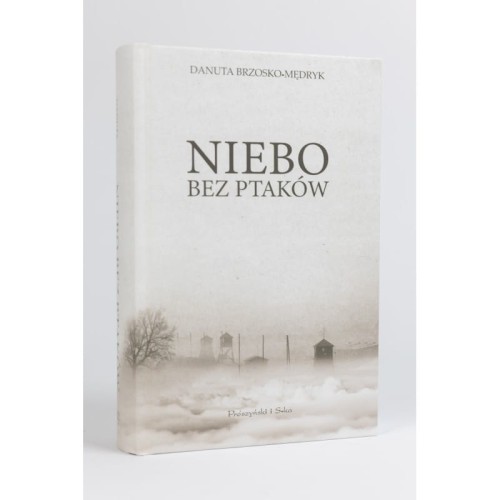 Niebo bez ptaków