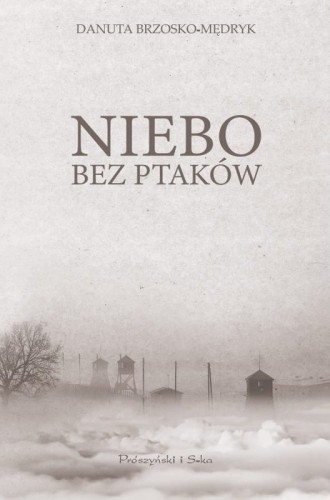 Niebo bez ptaków