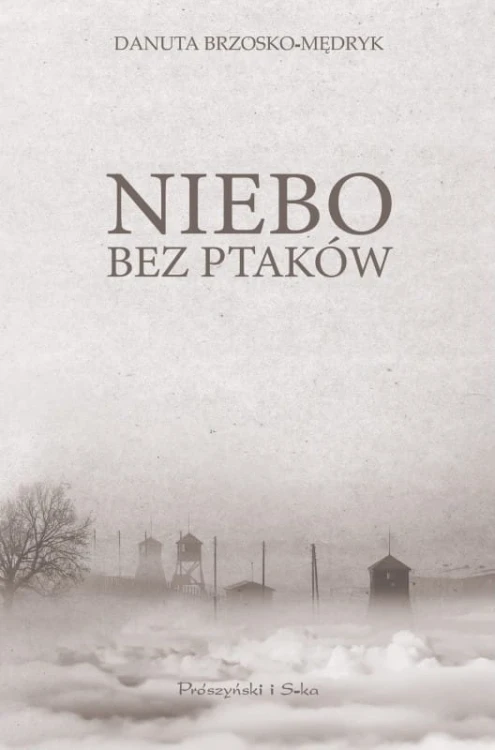 Niebo bez ptaków